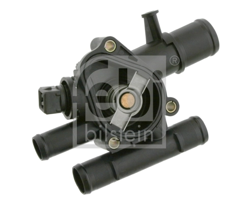 Thermostat, coolant